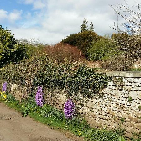 Owl Cottage Hexham Esterno foto